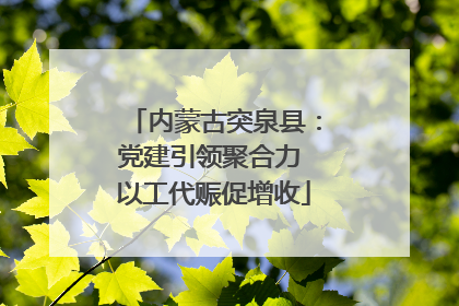 内蒙古突泉县：党建引领聚合力 以工代赈促增收