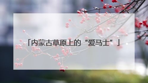 内蒙古草原上的“爱马士”