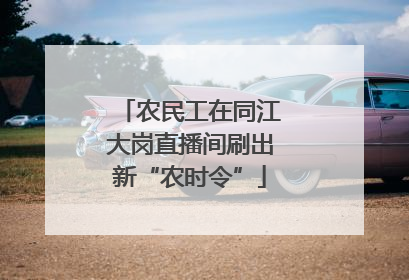 农民工在同江大岗直播间刷出新“农时令”