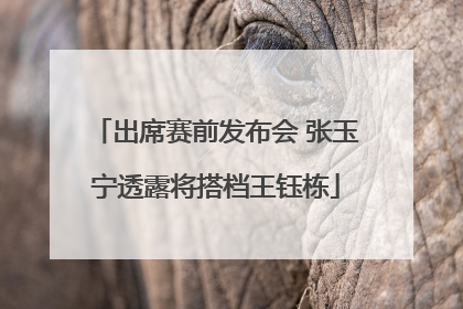 出席赛前发布会 张玉宁透露将搭档王钰栋
