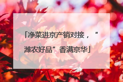 净菜进京产销对接，“潍农好品”香满京华