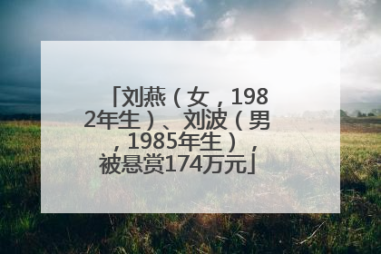 刘燕（女，1982年生）、刘波（男，1985年生），被悬赏174万元