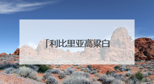 利比里亚高粱白酒全产业链项目落地自贸雨花区块