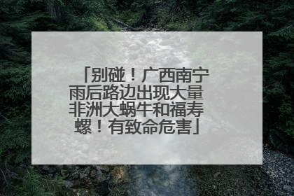 别碰！广西南宁雨后路边出现大量非洲大蜗牛和福寿螺！有致命危害