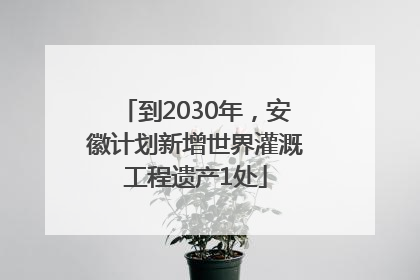 到2030年，安徽计划新增世界灌溉工程遗产1处