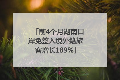 前4个月湖南口岸免签入境外籍旅客增长189%