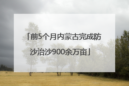 前5个月内蒙古完成防沙治沙900余万亩