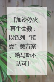 加沙停火再生变数：以色列“接受”美方案、哈马斯不认可
