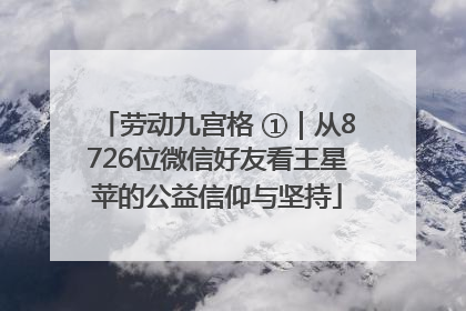 劳动九宫格 ①｜从8726位微信好友看王星苹的公益信仰与坚持