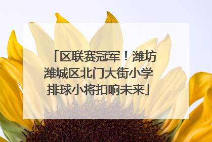 区联赛冠军！潍坊潍城区北门大街小学排球小将扣响未来