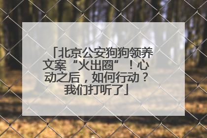北京公安狗狗领养文案“火出圈”！心动之后，如何行动？我们打听了