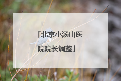 北京小汤山医院院长调整