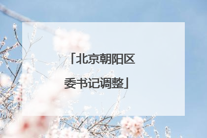 北京朝阳区委书记调整