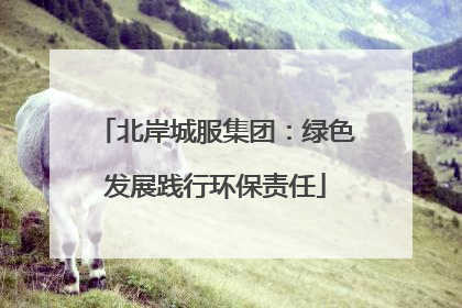 北岸城服集团：绿色发展践行环保责任
