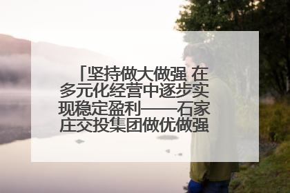 坚持做大做强 在多元化经营中逐步实现稳定盈利——石家庄交投集团做优做强典型报道之三