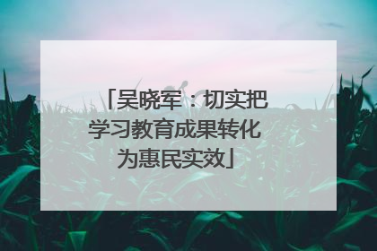 吴晓军：切实把学习教育成果转化为惠民实效