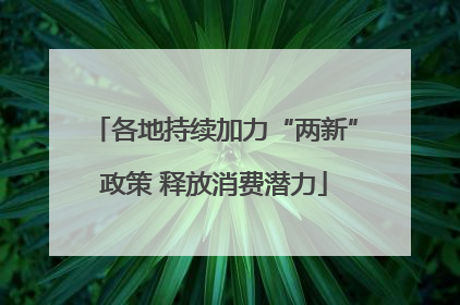 各地持续加力“两新”政策 释放消费潜力