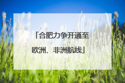 合肥力争开通至欧洲、非洲航线