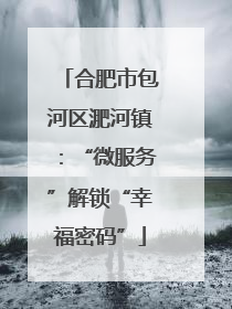 合肥市包河区淝河镇：“微服务”解锁“幸福密码”