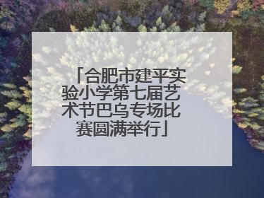 合肥市建平实验小学第七届艺术节巴乌专场比赛圆满举行