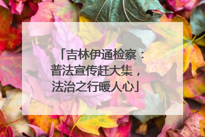 吉林伊通检察：普法宣传赶大集，法治之行暖人心