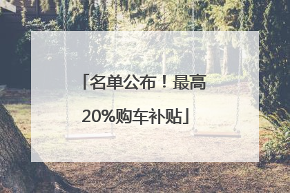 名单公布！最高20%购车补贴
