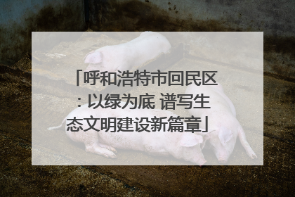呼和浩特市回民区：以绿为底 谱写生态文明建设新篇章