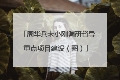 周华兵未小刚调研督导重点项目建设（图）