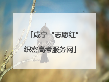 咸宁“志愿红”织密高考服务网