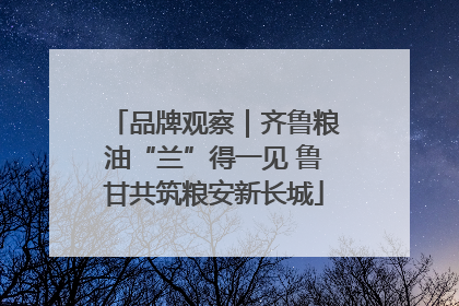 品牌观察｜齐鲁粮油“兰”得一见 鲁甘共筑粮安新长城