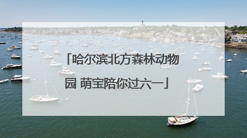 哈尔滨北方森林动物园 萌宝陪你过六一