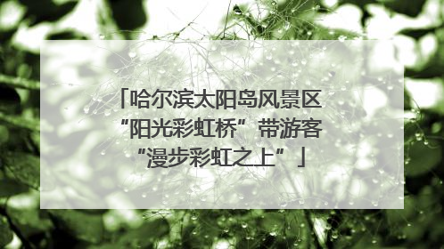 哈尔滨太阳岛风景区“阳光彩虹桥”带游客“漫步彩虹之上”