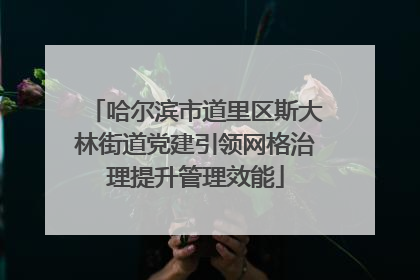 哈尔滨市道里区斯大林街道党建引领网格治理提升管理效能