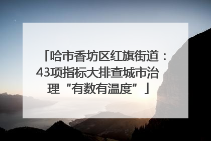 哈市香坊区红旗街道：43项指标大排查城市治理“有数有温度”
