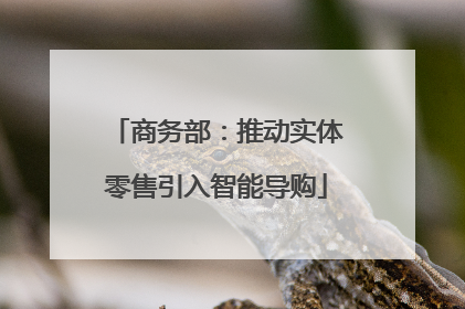 商务部：推动实体零售引入智能导购
