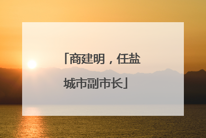 商建明，任盐城市副市长