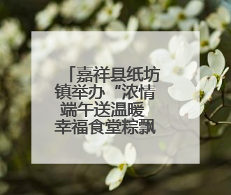 嘉祥县纸坊镇举办“浓情端午送温暖 幸福食堂粽飘香”主题文明实践活动
