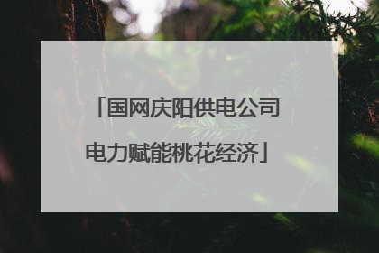 国网庆阳供电公司电力赋能桃花经济