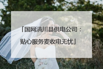 国网潢川县供电公司：贴心服务麦收电无忧