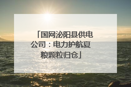 国网泌阳县供电公司：电力护航夏粮颗粒归仓