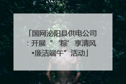 国网泌阳县供电公司：开展“‘粽’享清风 •廉洁端午”活动