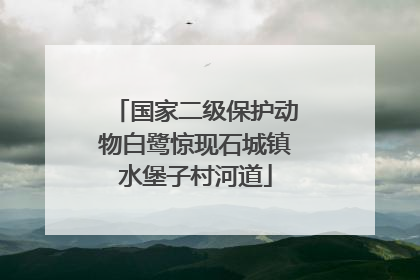 国家二级保护动物白鹭惊现石城镇水堡子村河道