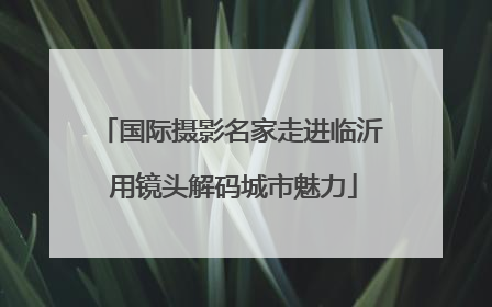国际摄影名家走进临沂 用镜头解码城市魅力