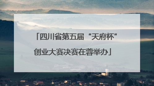 四川省第五届“天府杯”创业大赛决赛在蓉举办