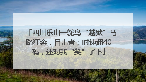 四川乐山一鸵鸟“越狱”马路狂奔，目击者：时速超40码，还对我“笑”了下