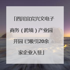 四川宜宾兴文电子商务（跨境）产业园开园 已吸引20余家企业入驻