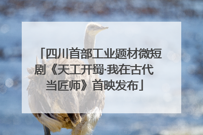 四川首部工业题材微短剧《天工开蜀·我在古代当匠师》首映发布