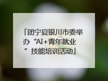 团宁夏银川市委举办“AI+青年就业”技能培训活动