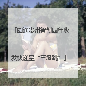 圆通贵州智创园年收发快递量“三级跳”