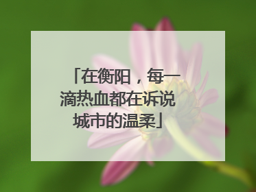 在衡阳，每一滴热血都在诉说城市的温柔